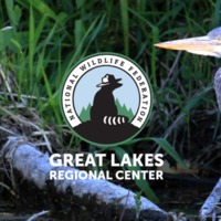 Great Lakes Regional Center Logo 