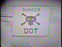 Danger: DDT