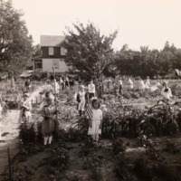 War Gardens in Ann Arbor