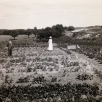 War Gardens Ann Arbor, 1918