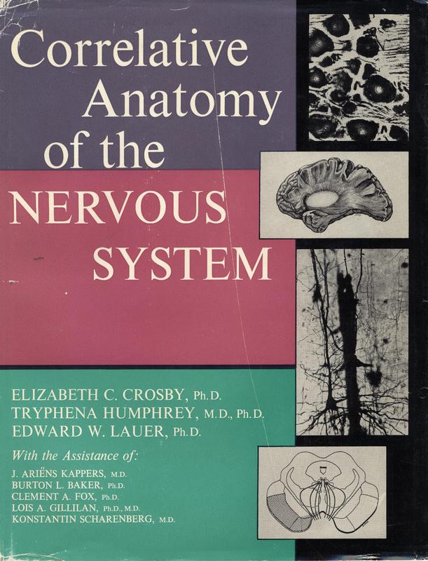 %22Correlative Anatomy of the Nervous System%22.jpg