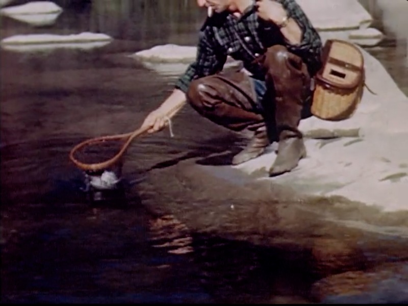 Clean Water 1 Fishing.png