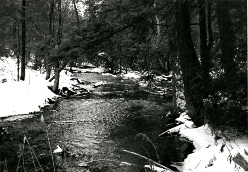 Monroe Creek photo