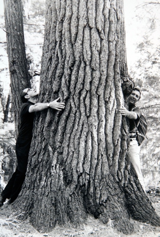 Joseph Sax Hugging a Tree