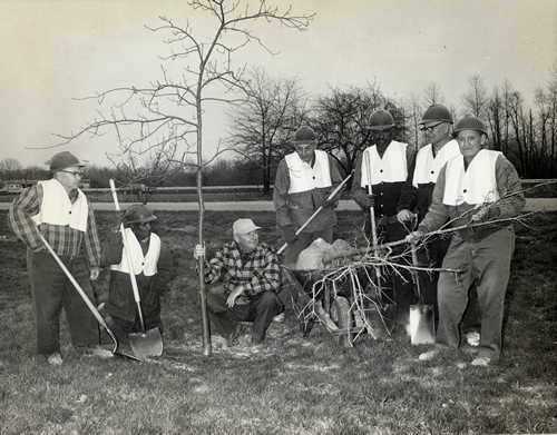 Conservation workers in New Jersey working with the Farmer's Union Green Thumb, a program which Nelson supported.