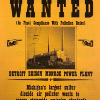 Detroit Edison Violating Clean Air Act Flyer