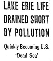 Lake Erie Life Drained Short By Pollution