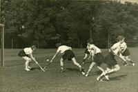 bhl_bl001140_full_2518_1683__0_default.jpg